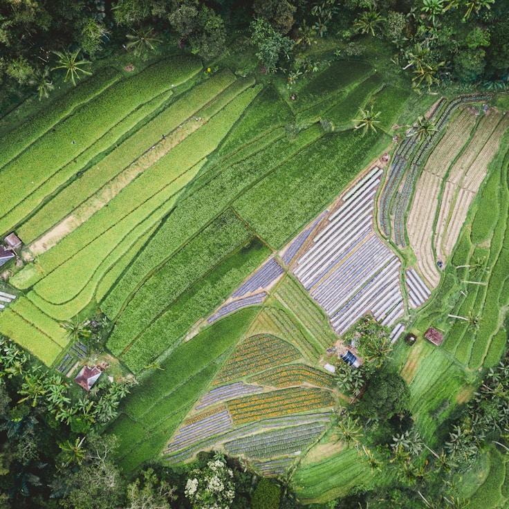Outdoor terrace seating suitable for families in London